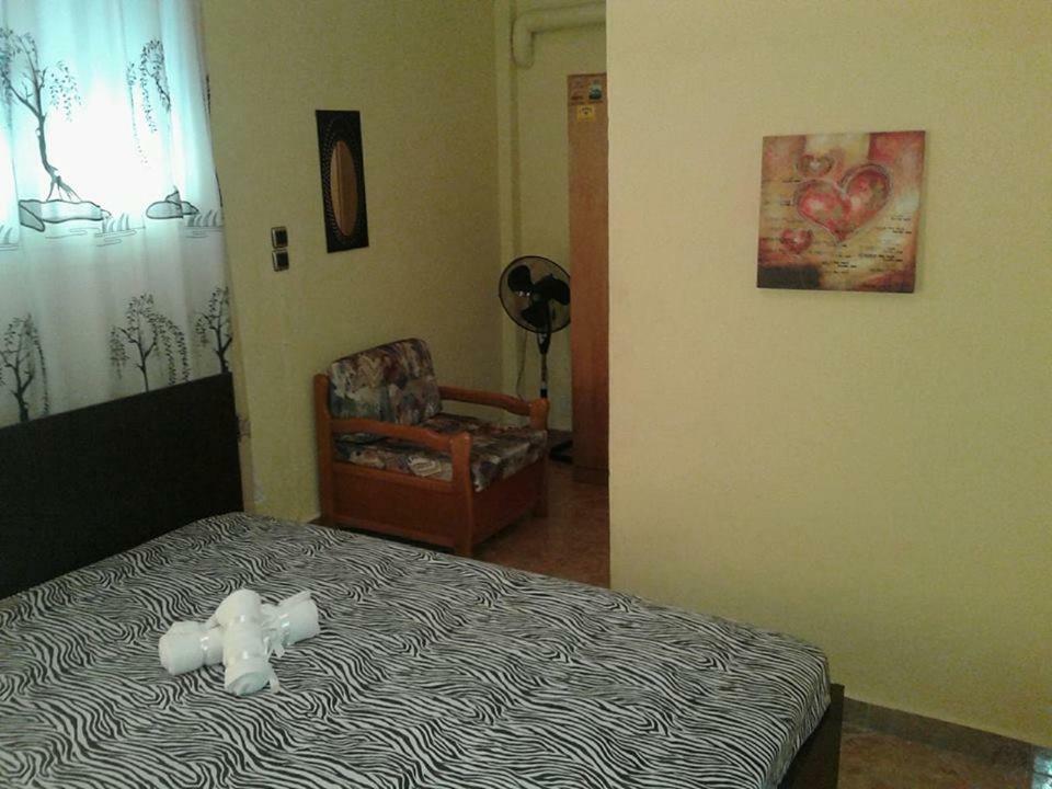 Skála Marión Gatos Apartment מראה חיצוני תמונה